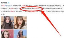 雪莉韩国爆料视频在线播放,揭秘娱乐圈惊人内幕