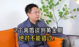 离婚律师爆料案例大全最新,最新案例大全深度剖析婚姻裂痕背后的真相