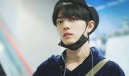 肖战粉丝最新爆料,揭秘明星背后的惊人真相！