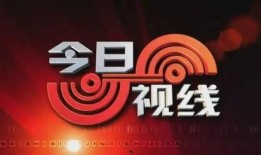 今日视线爆料号码