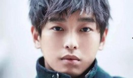 娱乐圈爆料茅子俊,揭秘明星背后的故事