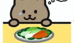 胖猫爆料人视频大全集,揭秘视频大全集背后的精彩瞬间