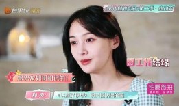 惠子恋情爆料视频在线观看,揭秘明星背后的甜蜜瞬间