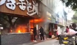 各大餐厅爆料视频大全,美食背后的故事与真相