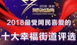 王先生深圳最新爆料新闻,最新热点事件深度解析