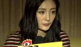 杨幂爆料男明星视频大全,揭秘娱乐圈幕后真相