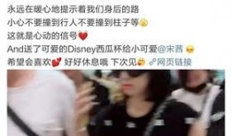 宋茜被粉丝爆料视频播放,引发网友热议