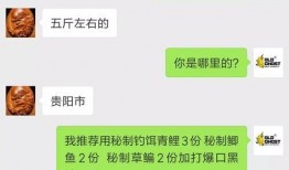 咸鱼爆料配方大全视频,揭秘配方大全视频中的美食秘籍