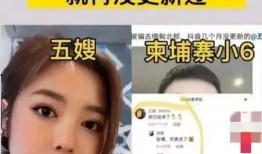 网红爆料五嫂视频,揭秘网红幕后生活