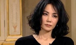 甄珍爆料王菲是真的吗视频,视频爆料背后的惊人内幕