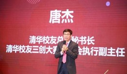 陈立人清华校友爆料视频,清华内部爆料视频背后的真相