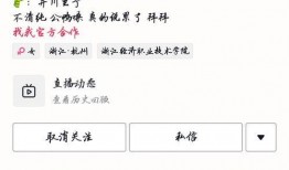 吃瓜QQ 网红,揭秘网络红人的幕后生活与影响力”