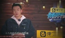 陈赫郑凯最新爆料,揭秘娱乐圈幕后真相