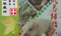 爆料科学养猪视频,视频爆料揭示高效养殖秘密