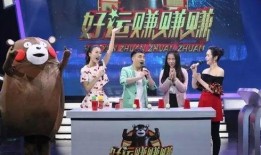 安徽综艺在线直播观看,精彩节目尽在掌握