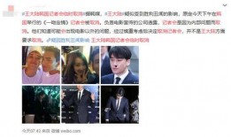 韩国爆料李楷灿事件视频,李楷灿事件视频引发热议