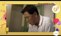 雪狼爆料静雯视频大全播放,静雯视频大全播放量揭秘