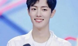 肖战粉丝最新爆料,揭秘明星背后的惊人真相！