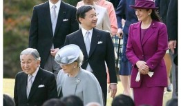 日本皇室最新爆料,最新爆料揭示王室秘闻