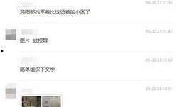 涡阳渣男爆料视频曝光,揭秘不为人知的情感丑闻