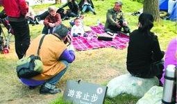游客止步在线观看56,跟随游客止步，揭秘56神秘世界