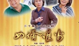 女婿难当 在线观看,揭秘现代家庭关系中的甜蜜与挑战