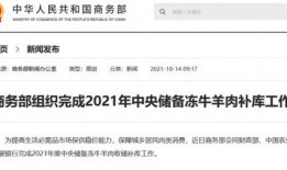 商务部爆料视频播放,揭秘行业黑幕，揭开真相面纱