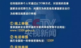 中国年轻人爆料新闻,中国年轻人视角下的爆料新闻