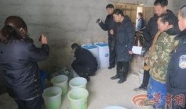 湖北缅甸厨师爆料案件视频,揭露背后惊人真相