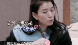 袁咏仪爆料娱乐圈视频,真实与虚幻的碰撞