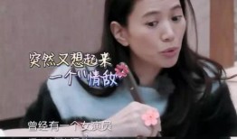 袁咏仪爆料娱乐圈视频,真实与虚幻的碰撞
