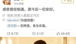 娱乐圈小说推荐吃瓜,从吃瓜小白到顶级瓜农的华丽蜕变