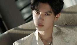 陈哲远娱乐圈爆料事件视频,揭秘娱乐圈背后真相