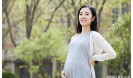 王芳怀孕爆料视频播放,甜蜜孕期生活大揭秘