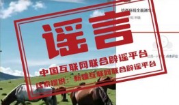 成都时事新闻爆料网官网,聚焦城市脉搏，解码最新动态