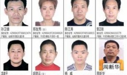 新闻爆料诈骗怎么举报,新闻爆料诈骗举报指南