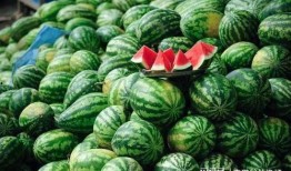 爱慕在线西瓜观看,西瓜视频带你畅享浪漫时光