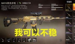23冠军ak最新爆料,揭秘赛场背后的精彩瞬间
