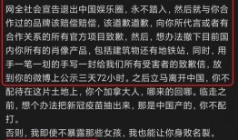 今日网红爆料文章,今日热门事件幕后真相