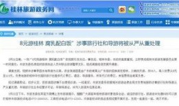 商务部爆料视频播放,揭秘行业黑幕，揭开真相面纱