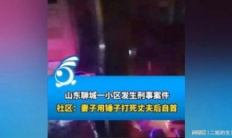 山东女子爆料网站视频下载,揭秘网络隐私泄露风波