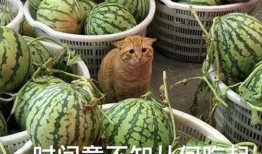 吃瓜最新爆料,娱乐圈最新爆料大揭秘！