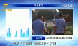 老人生活爆料视频下载大全,视频下载大全精选集锦