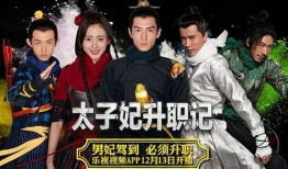 太子妃升职记全集在线观看,宫廷权谋，逆袭之路