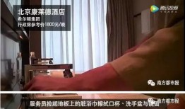 各大餐厅爆料视频大全,美食背后的故事与真相