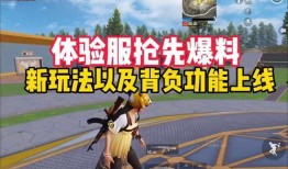 爆料体验服最新玩法视频,爆料视频带你领略游戏革新魅力