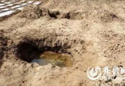 蒙阴县最新爆料新闻事件,最新爆料揭示惊人真相