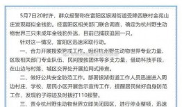 杭州物业最新爆料,揭秘小区管理背后的真相