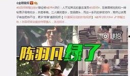 卓伟爆料李嘉艾视频播放,真相与舆论的漩涡