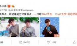 娱乐圈爆料抄袭网红视频,网红视频抄袭风波，揭秘幕后黑手